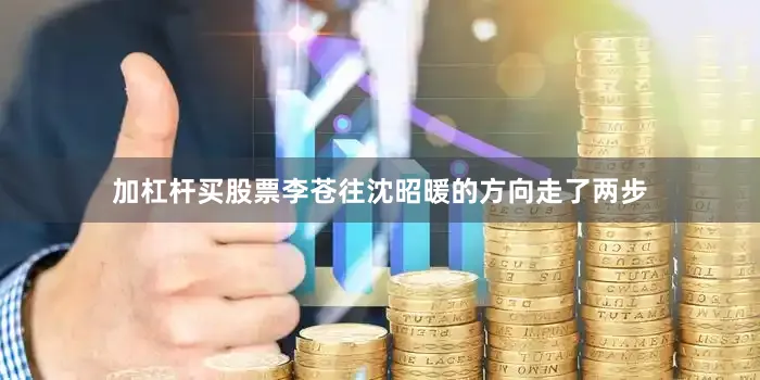 加杠杆买股票李苍往沈昭暖的方向走了两步